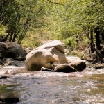 2018-04-05 _ X-T2 56mm _ 001.jpg